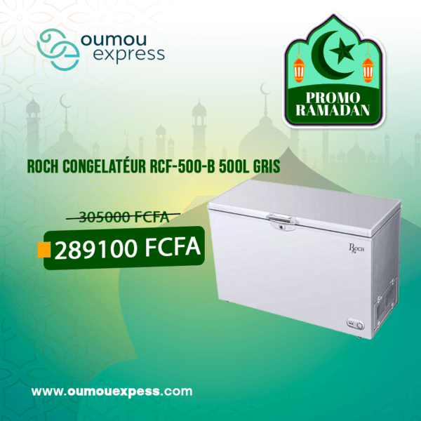 ROCH CONGELATÉUR RCF-500-B 500L GRIS