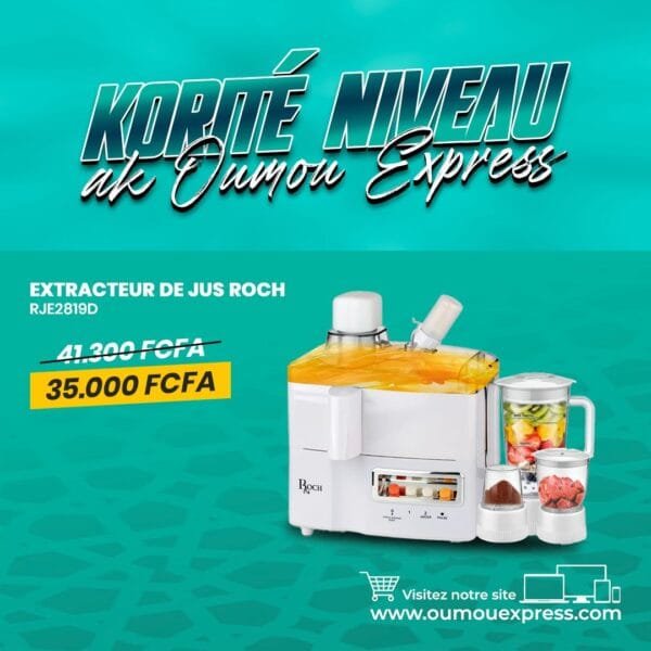 EXTRACTEUR DE JUS ROCH RJE2819D