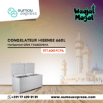 Congelateur Hisense Horizontal 660LITRES GRIS FC66DD4HA