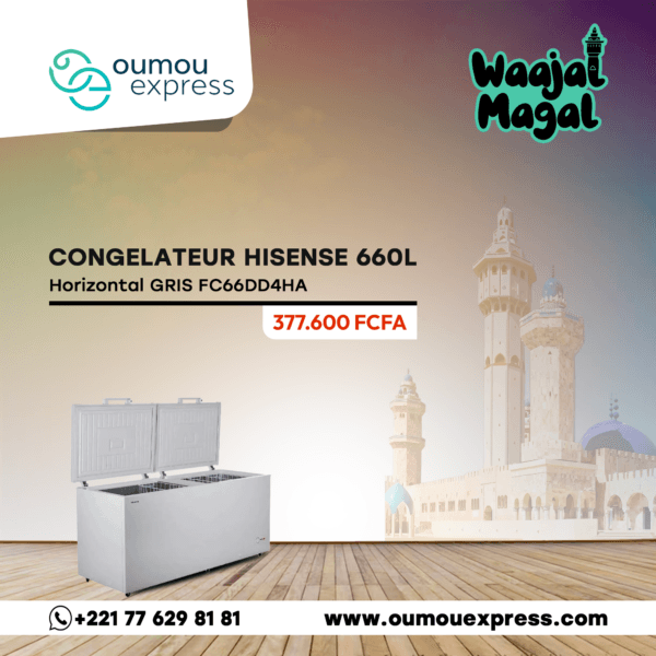 Congelateur Hisense Horizontal 660LITRES GRIS FC66DD4HA